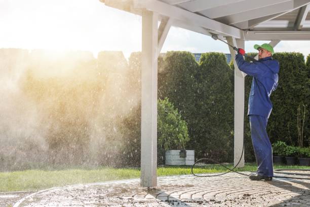 Best Driveway Pressure Washing  in Centreville, MD